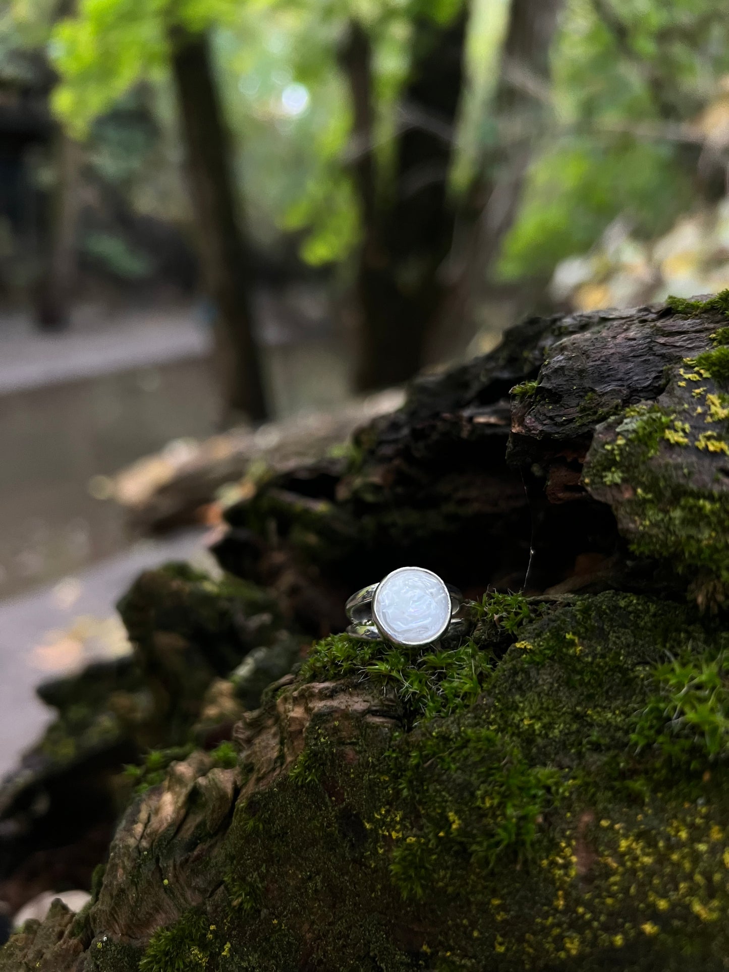 Selkie Ring ✦ Size 7