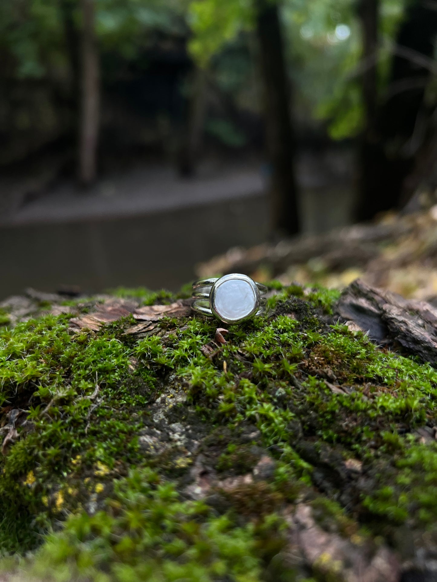 Bands of Starlight Ring ✦ Size 8