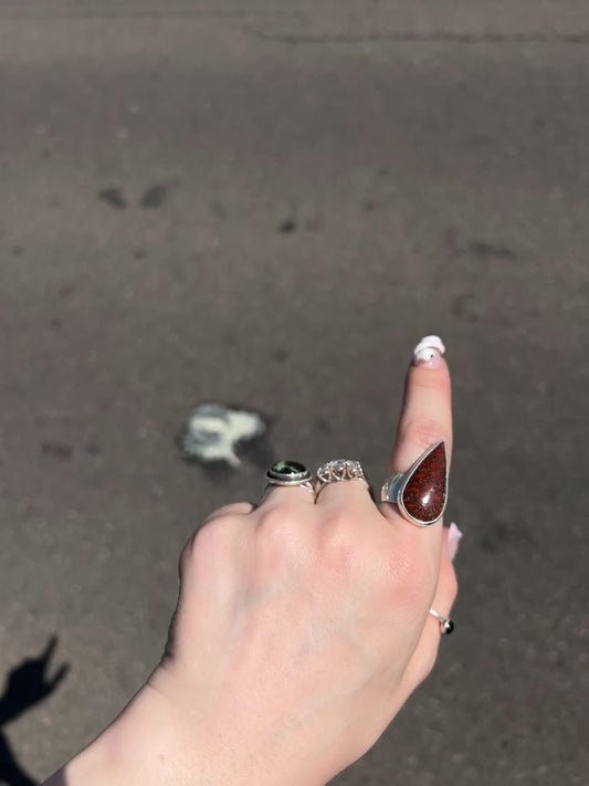 Agatized Dino Bone ✦ Size 9.5